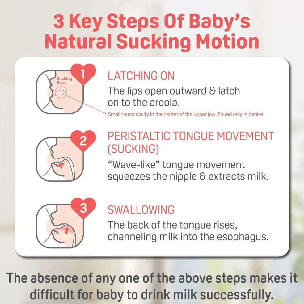 Pigeon SofTouch™ BPP Nursing Bottle T-Ester 160ml (Bear)