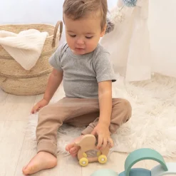 Playground Push A Long - Ducky