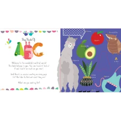 Shoebox Media: Big Book of ABC