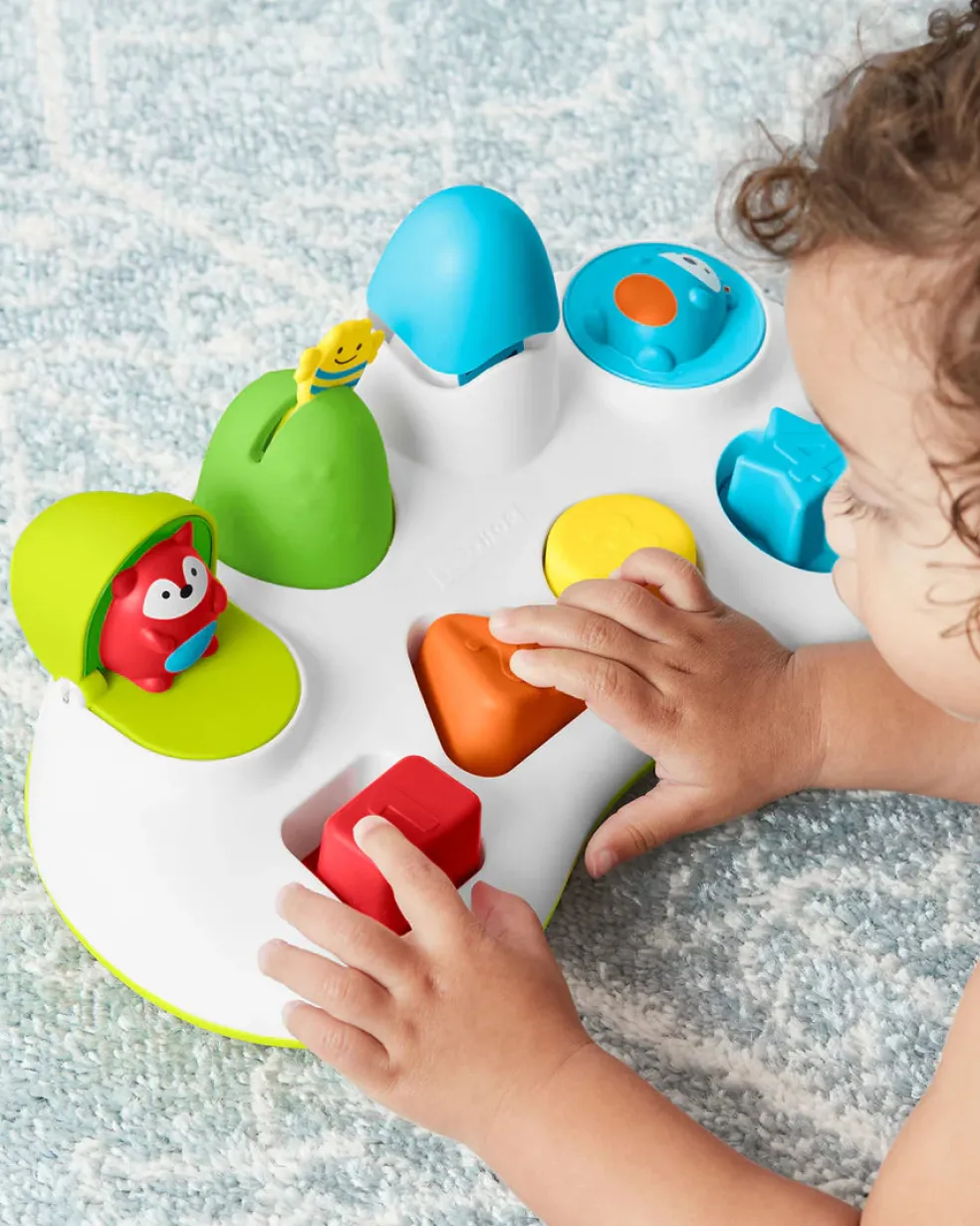 Skip Hop Explore & More Pop-Up Toy
