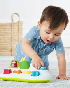 Skip Hop Explore & More Pop-Up Toy