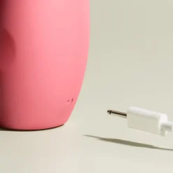 Smile Makers The Artist Dual Vibrator