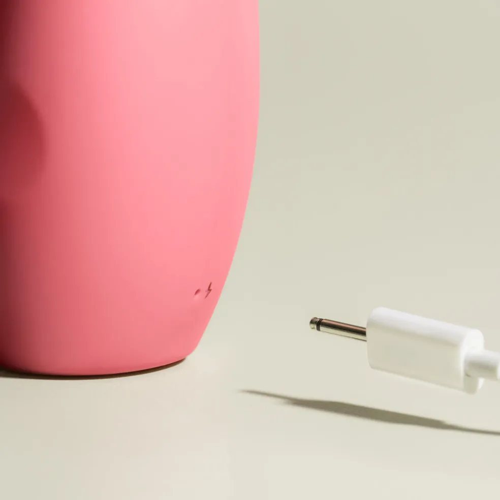 Smile Makers The Artist Dual Vibrator