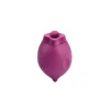 Smile Makers The Poet Clitoral Suction Vibrator