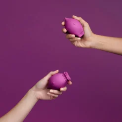 Smile Makers The Poet Clitoral Suction Vibrator