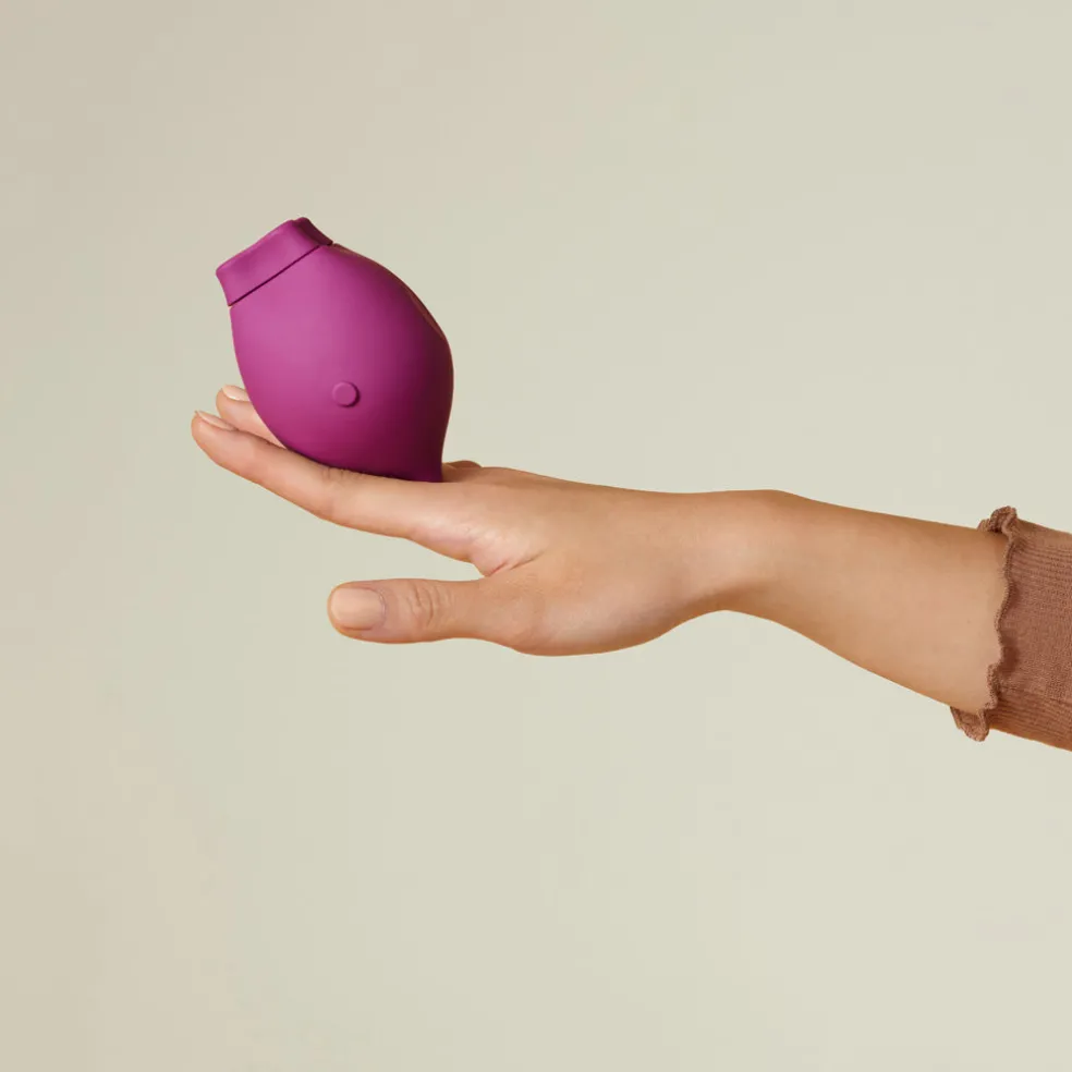 Smile Makers The Poet Clitoral Suction Vibrator