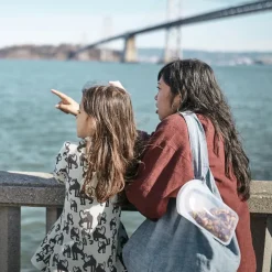 Stasher Reusable Silicone Go Bag, Clear (532ml)