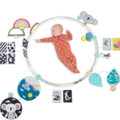Taf Toys All Around Me Activity Hoop