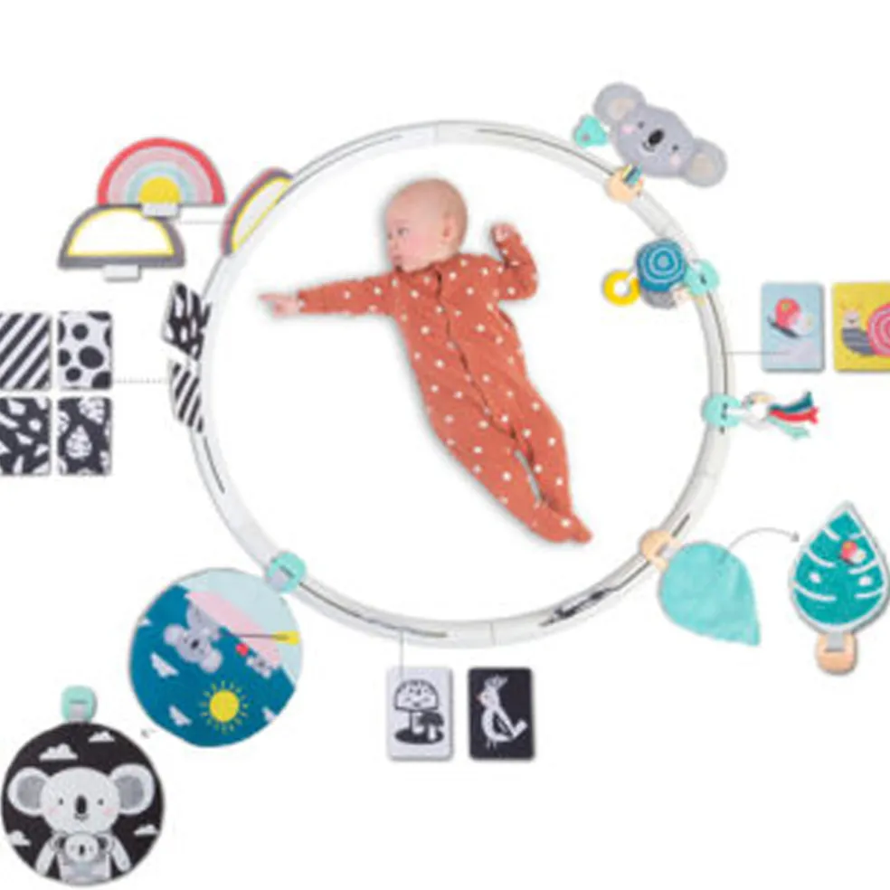 Taf Toys All Around Me Activity Hoop