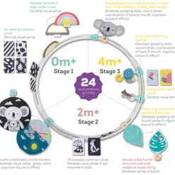 Taf Toys All Around Me Activity Hoop