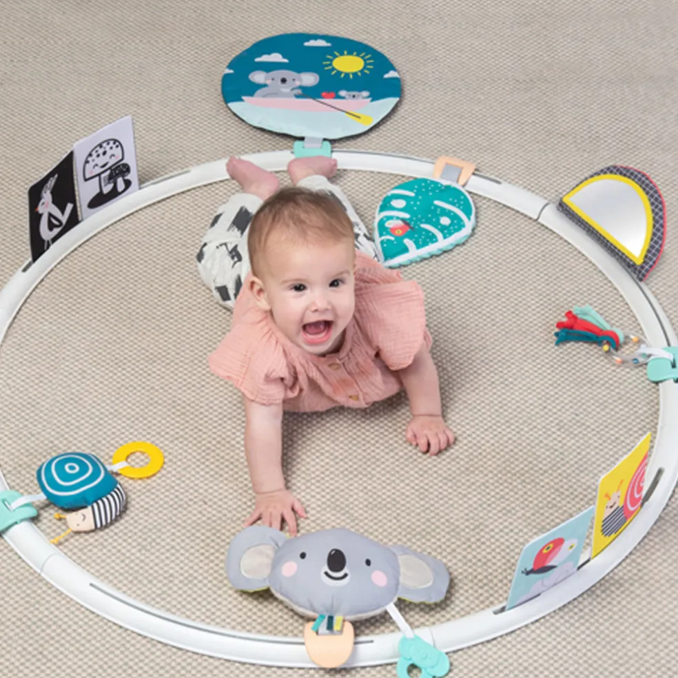 Taf Toys All Around Me Activity Hoop