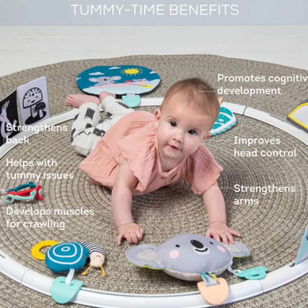 Taf Toys All Around Me Activity Hoop