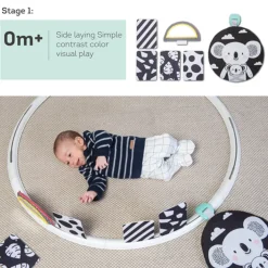 Taf Toys All Around Me Activity Hoop