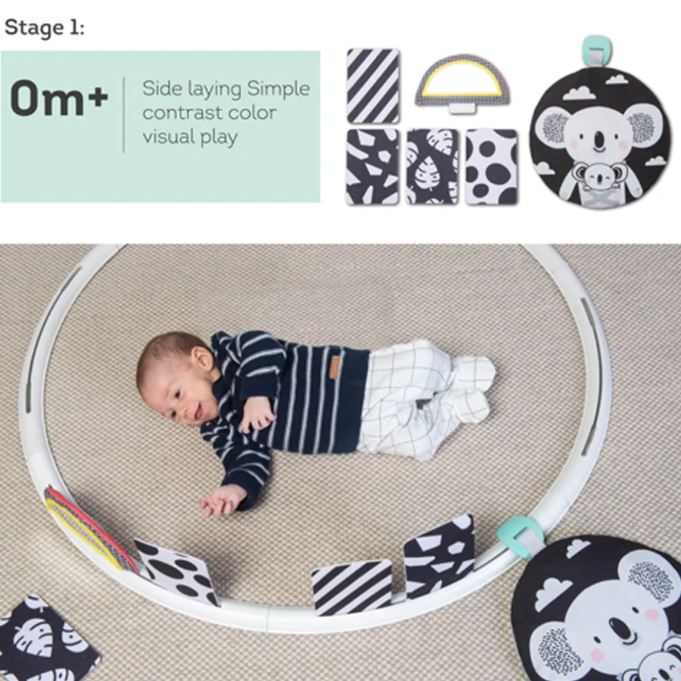 Taf Toys All Around Me Activity Hoop