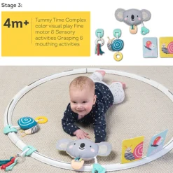 Taf Toys All Around Me Activity Hoop