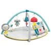 Taf Toys All around me gym