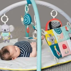 Taf Toys All around me gym