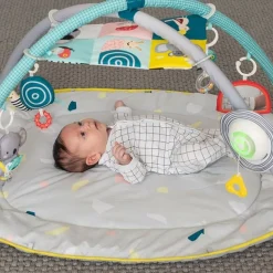 Taf Toys All around me gym