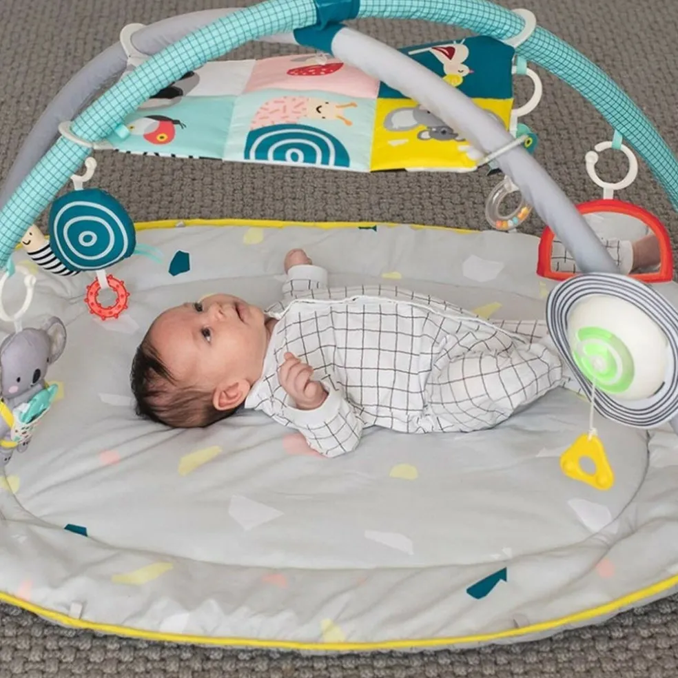 Taf Toys All around me gym