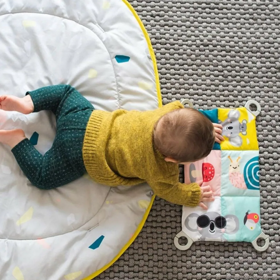 Taf Toys All around me gym