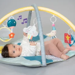 Taf Toys Magical Mini Moon Gym