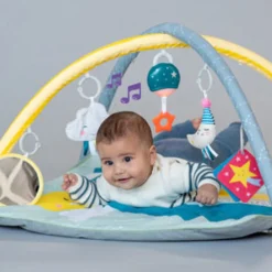 Taf Toys Magical Mini Moon Gym