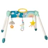 Taf Toys Mini Moon Take to Play Gym