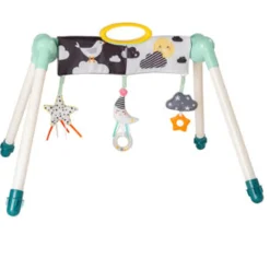 Taf Toys Mini Moon Take to Play Gym