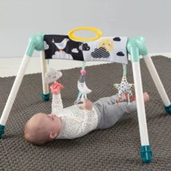 Taf Toys Mini Moon Take to Play Gym