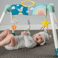 Taf Toys Mini Moon Take to Play Gym