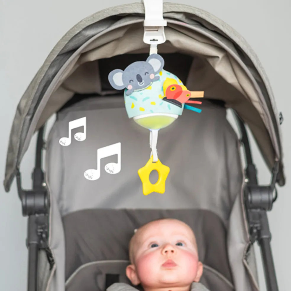 Taf Toys Musical Koala