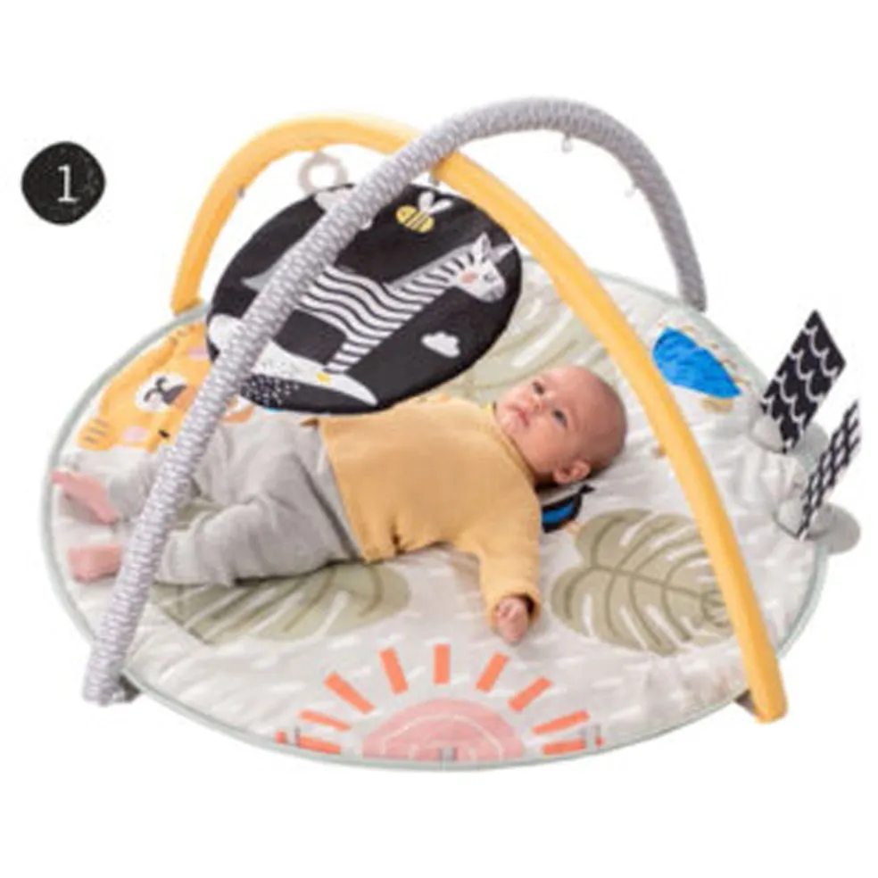 Taf Toys Savannah 360 Activity Gym