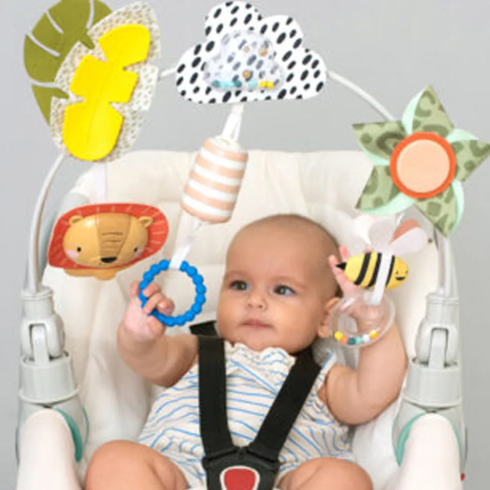 Taf Toys Savannah Adventures Arch