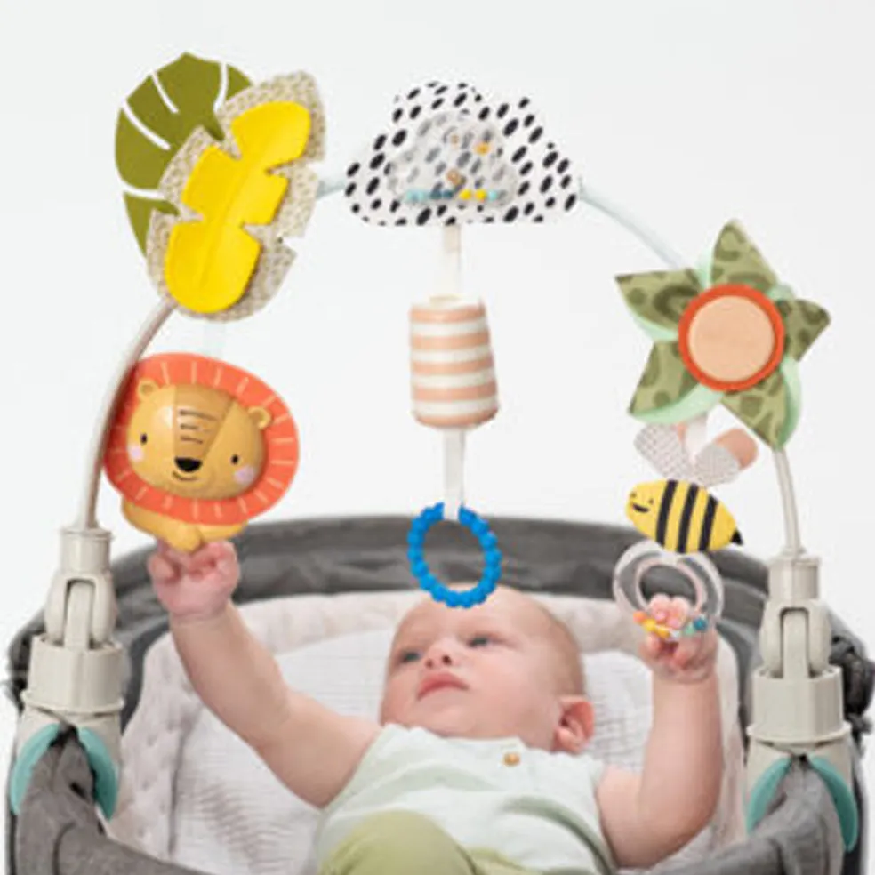 Taf Toys Savannah Adventures Arch