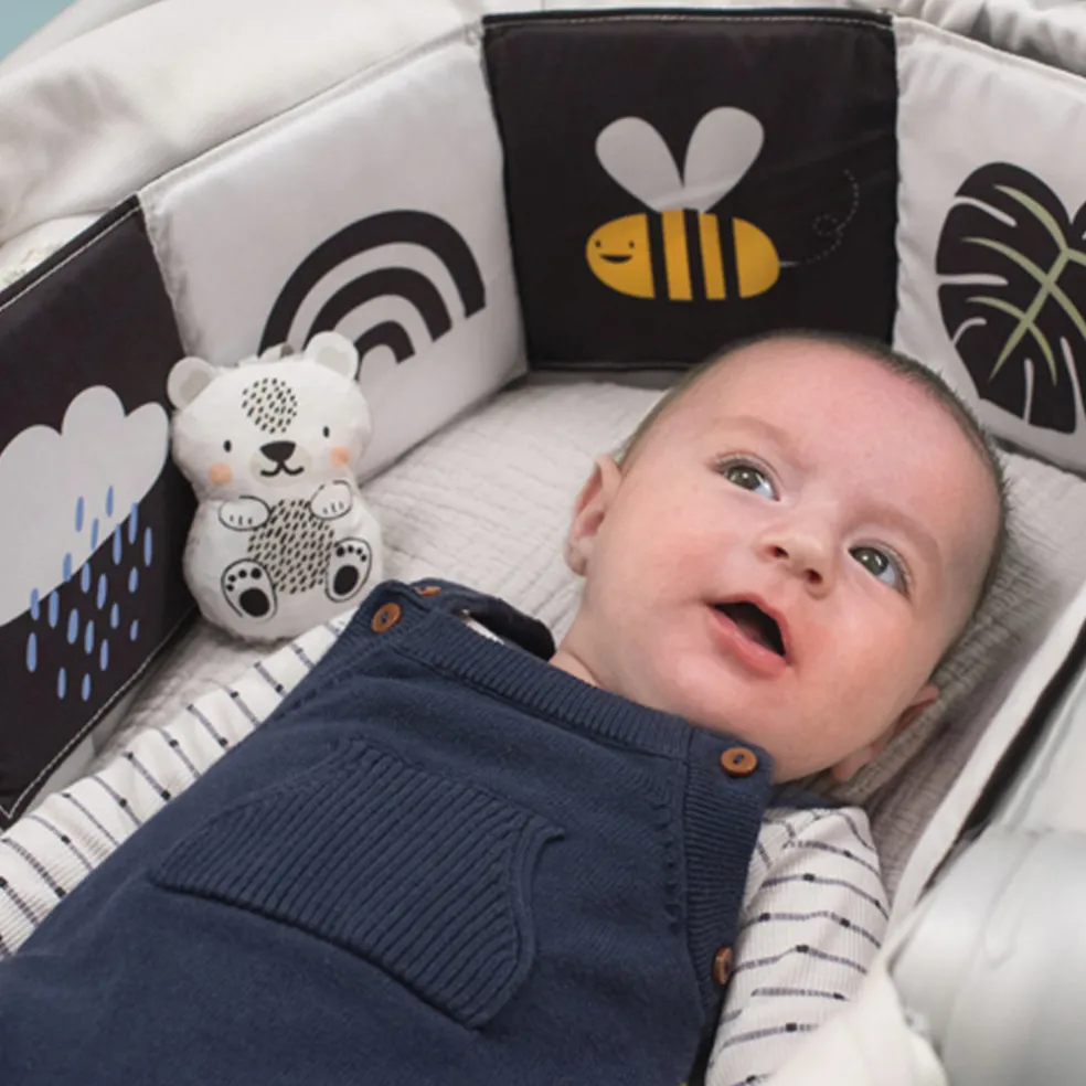 Taf Toys Savannah Black & White Book