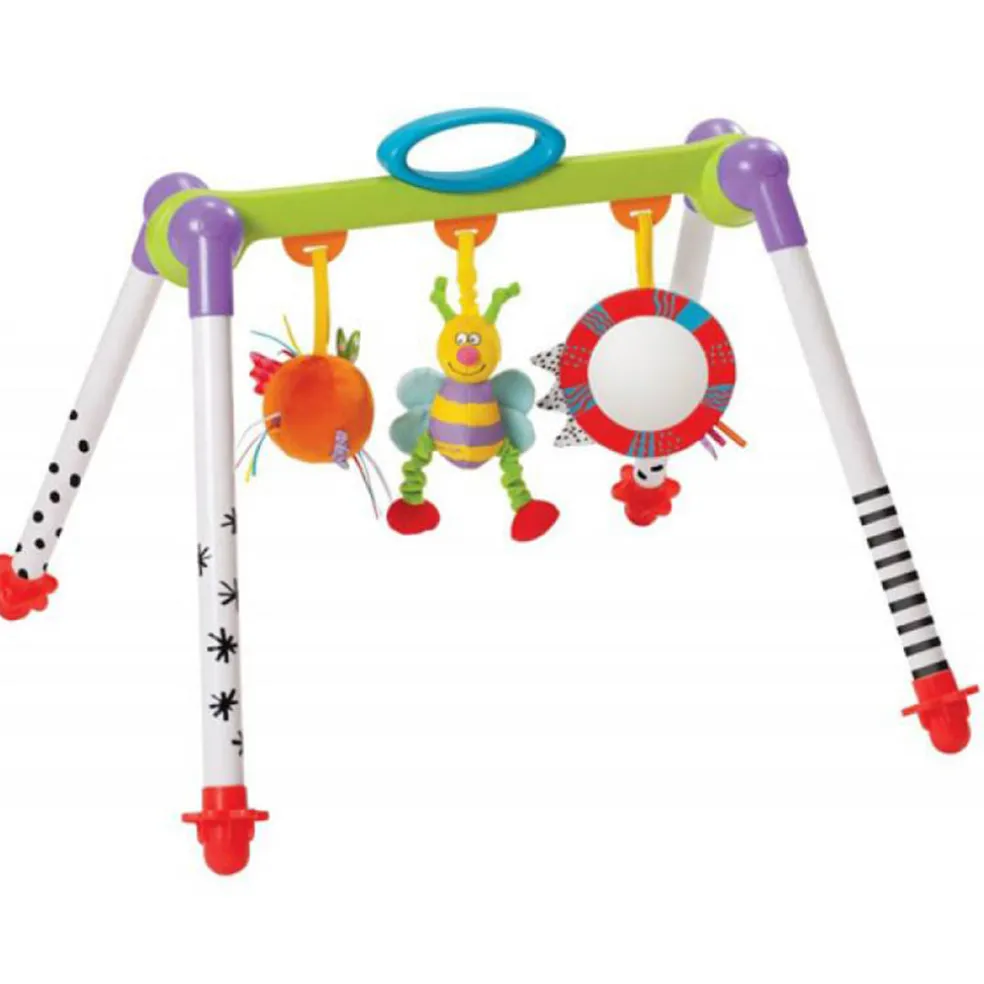 Taf Toys Take-to-Play Baby Gym