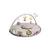 Taf Toys Tummy Time Activity Gym