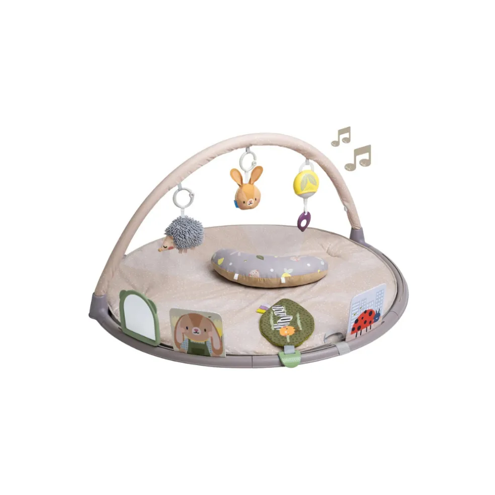 Taf Toys Tummy Time Activity Gym
