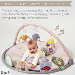 Taf Toys Tummy Time Activity Gym