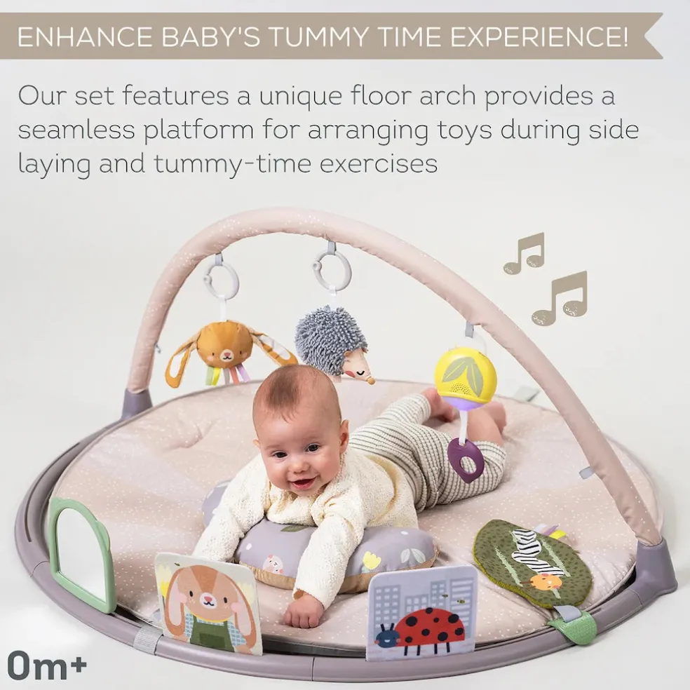 Taf Toys Tummy Time Activity Gym