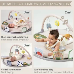 Taf Toys Tummy Time Activity Gym