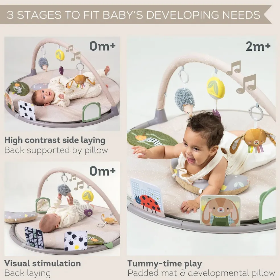 Taf Toys Tummy Time Activity Gym