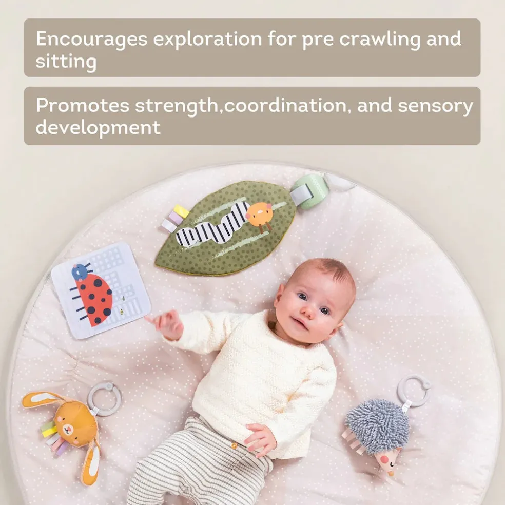 Taf Toys Tummy Time Activity Gym