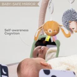 Taf Toys Tummy Time Activity Gym