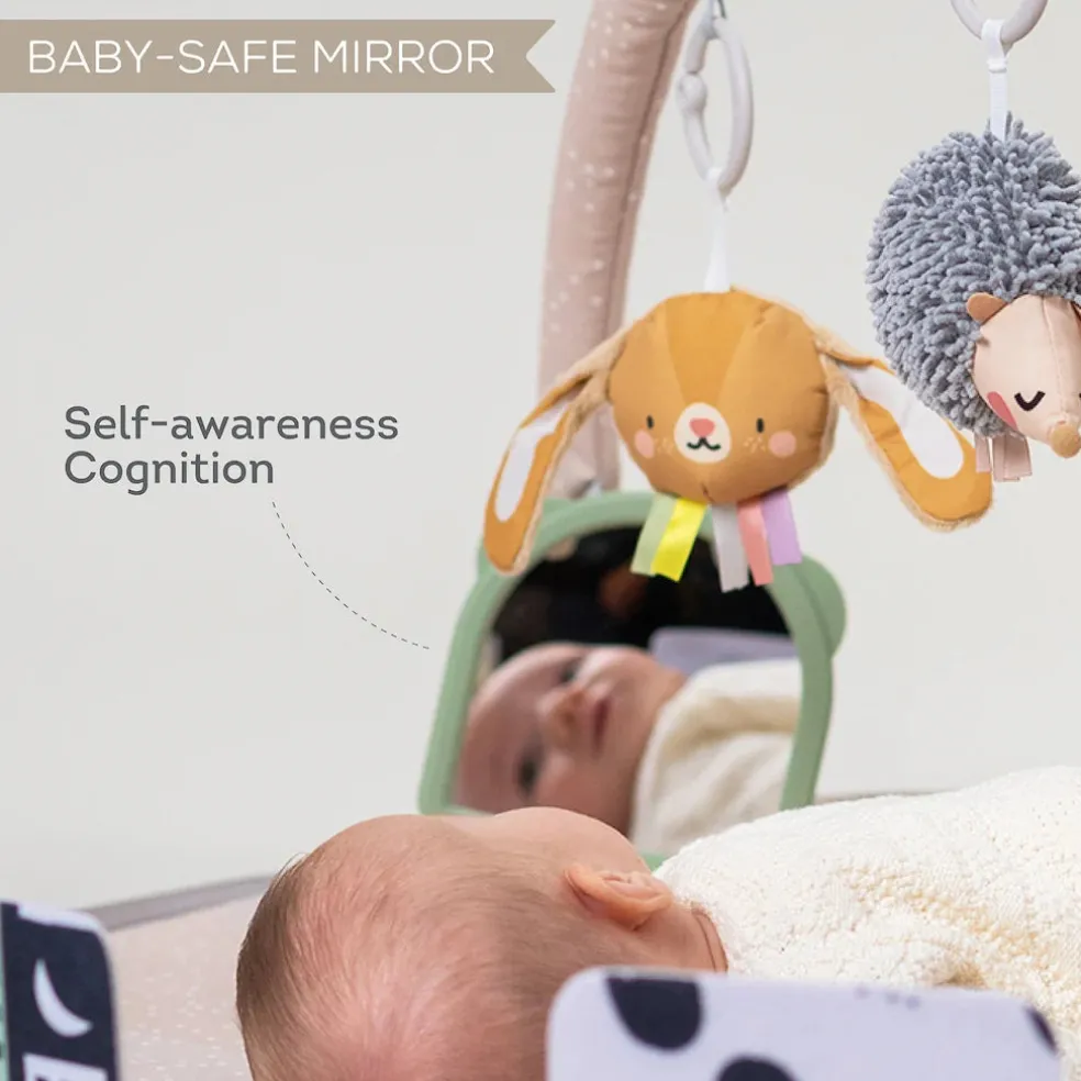 Taf Toys Tummy Time Activity Gym