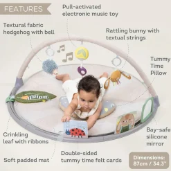 Taf Toys Tummy Time Activity Gym
