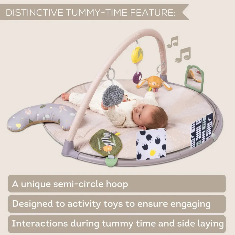 Taf Toys Tummy Time Activity Gym