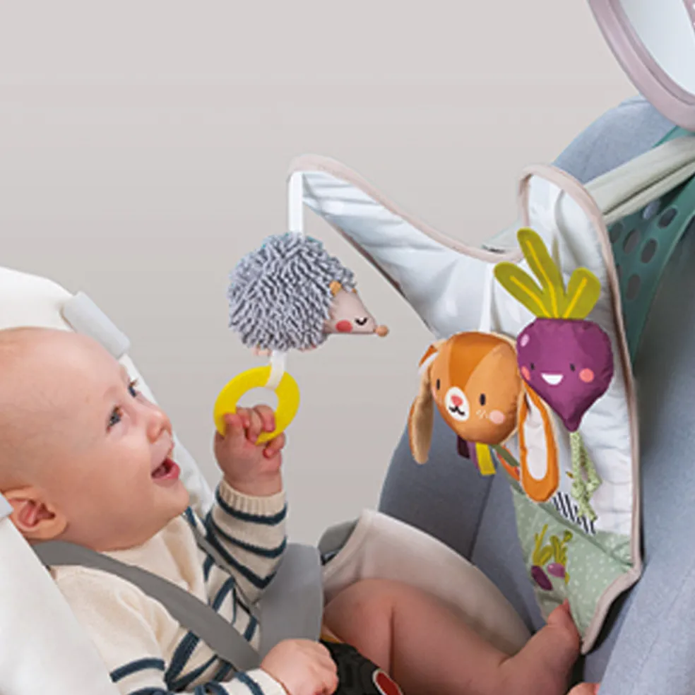 Taf Toys Urban Garden in Car Activity Center