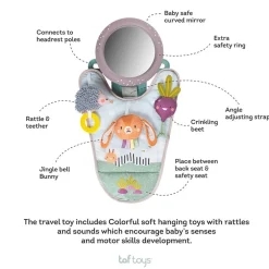 Taf Toys Urban Garden in Car Activity Center