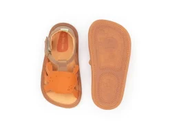 Tip Toey Joey Craby - Alderwood/ Tangerine